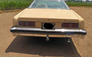 Pontiac-Catalina-1976-3
