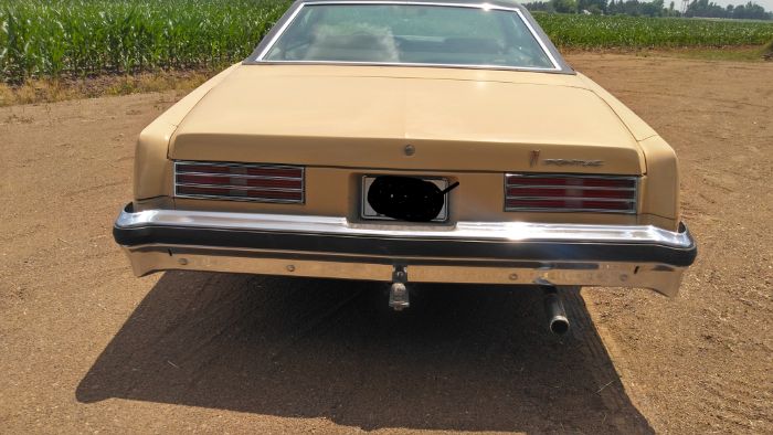 Pontiac-Catalina-1976-3