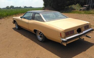 Pontiac-Catalina-1976-4
