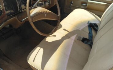 Pontiac-Catalina-1976-5