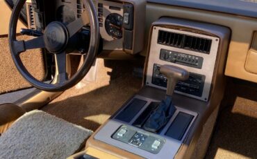 Pontiac-Fiero-1984-Blue-Tan-11