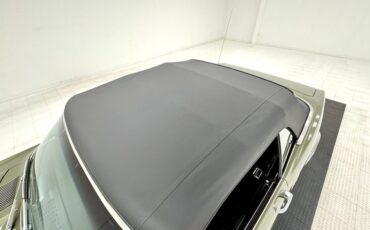 Pontiac-Firebird-1967-Verdoro-Green-Black-9