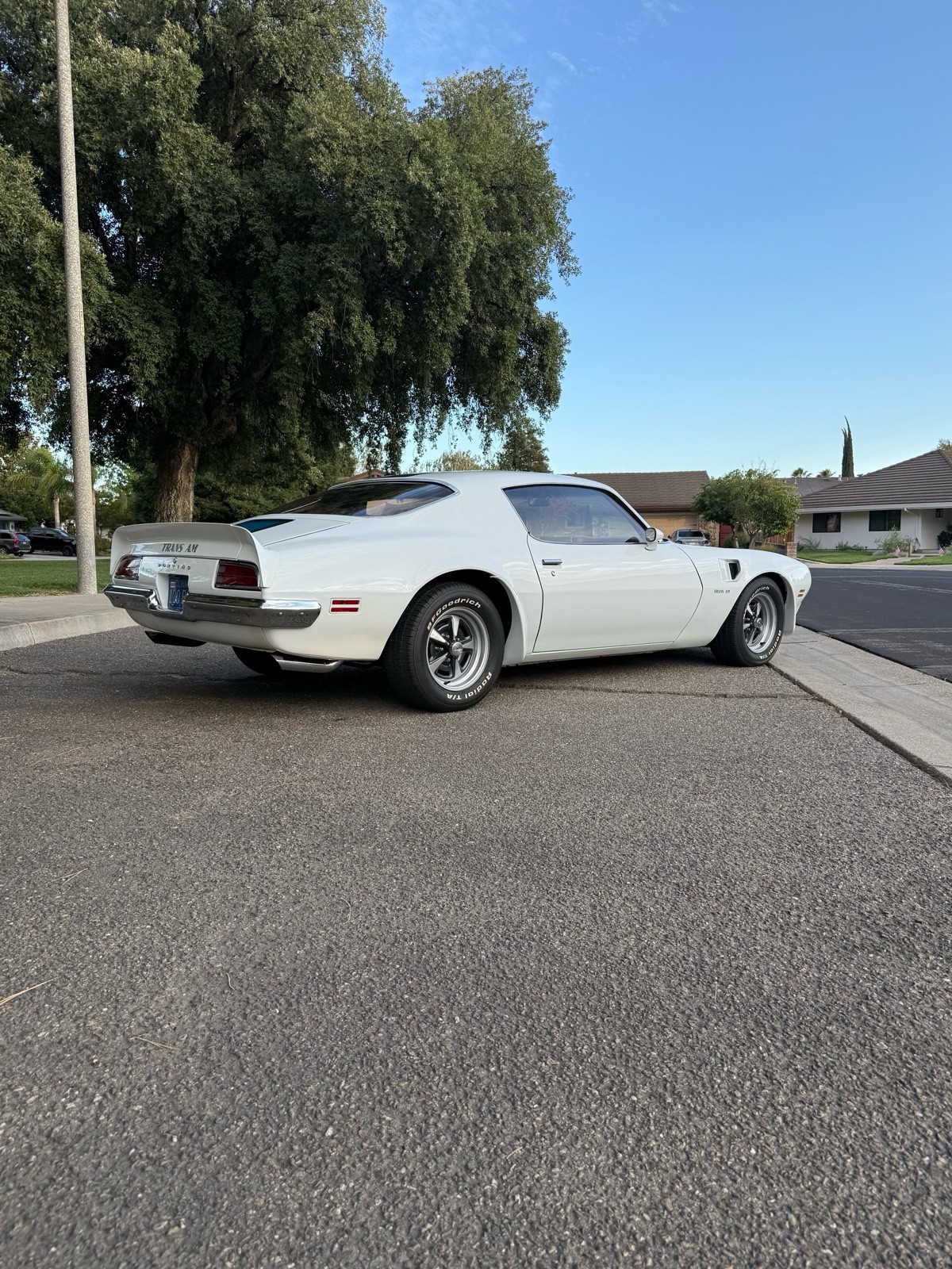 Pontiac-Firebird-1970-11