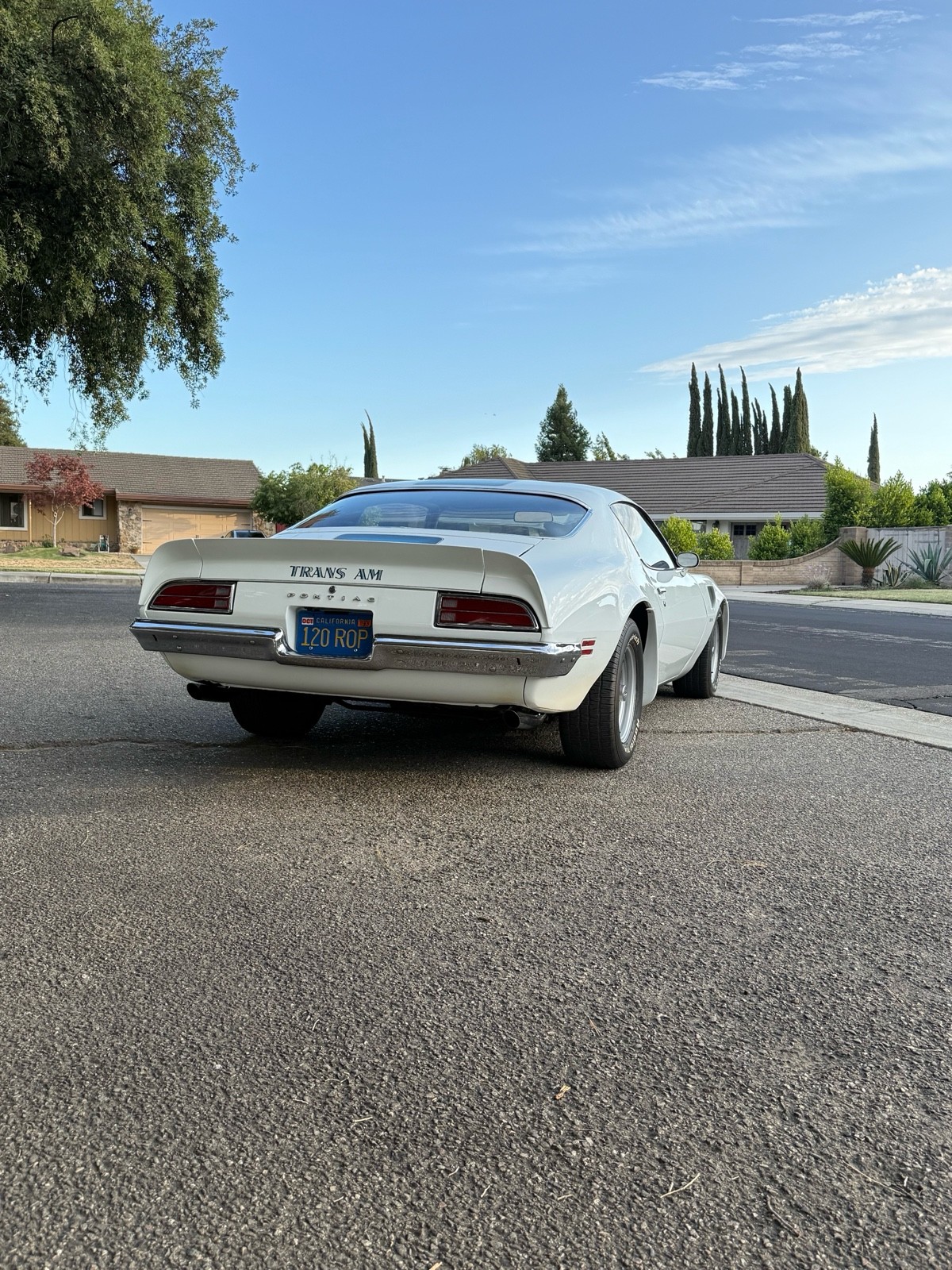 Pontiac-Firebird-1970-12