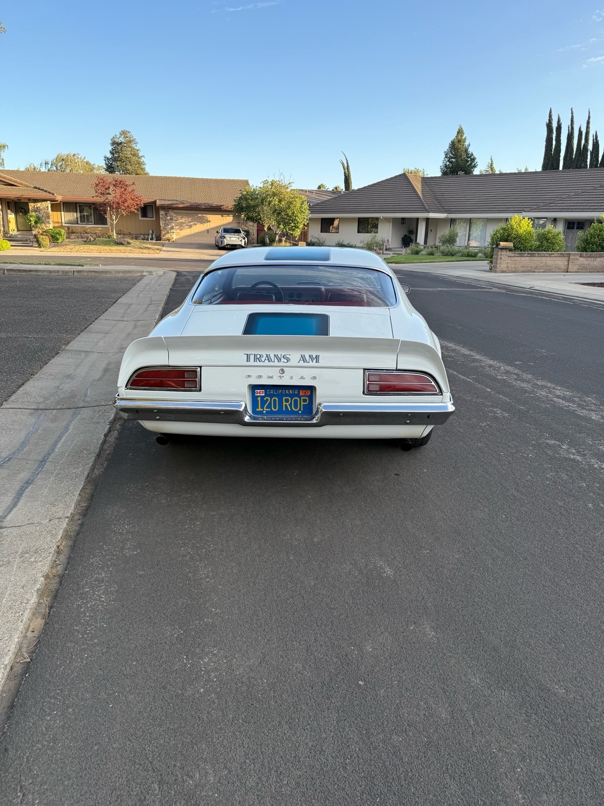 Pontiac-Firebird-1970-19