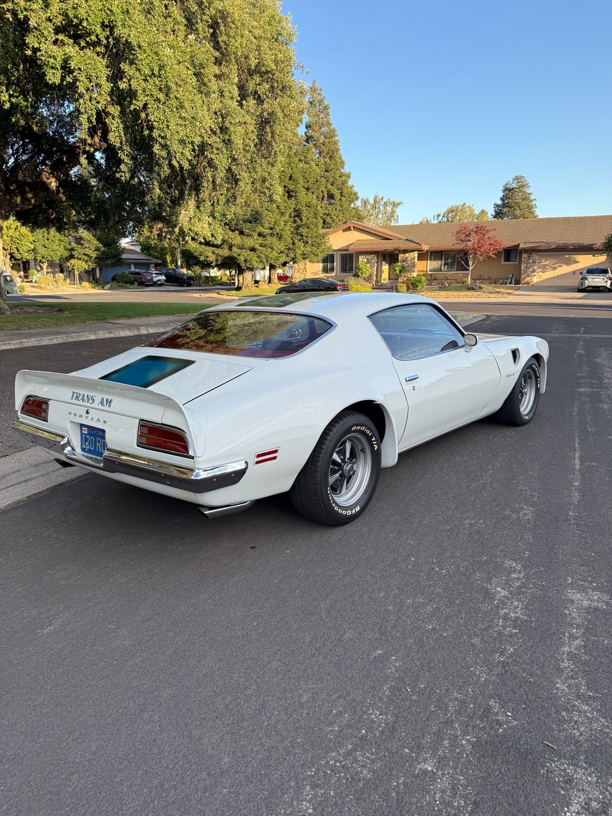 Pontiac-Firebird-1970-21