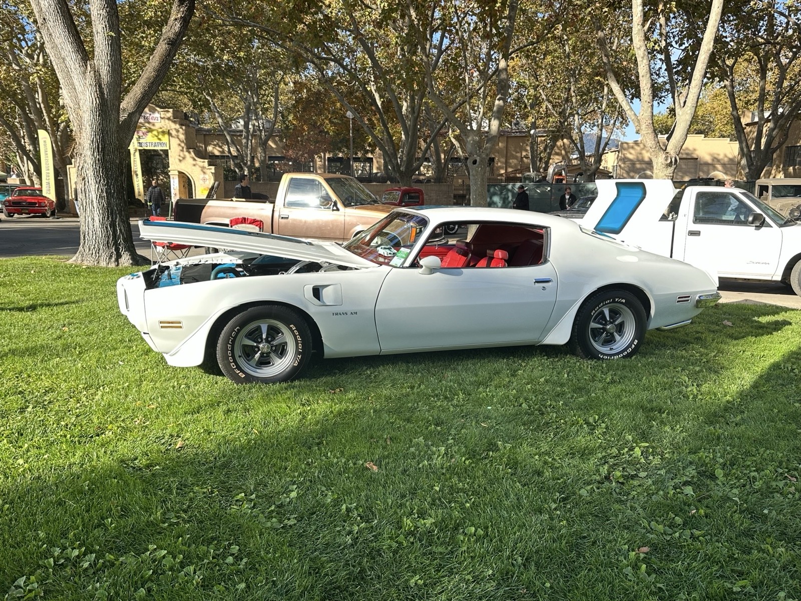 Pontiac-Firebird-1970-4