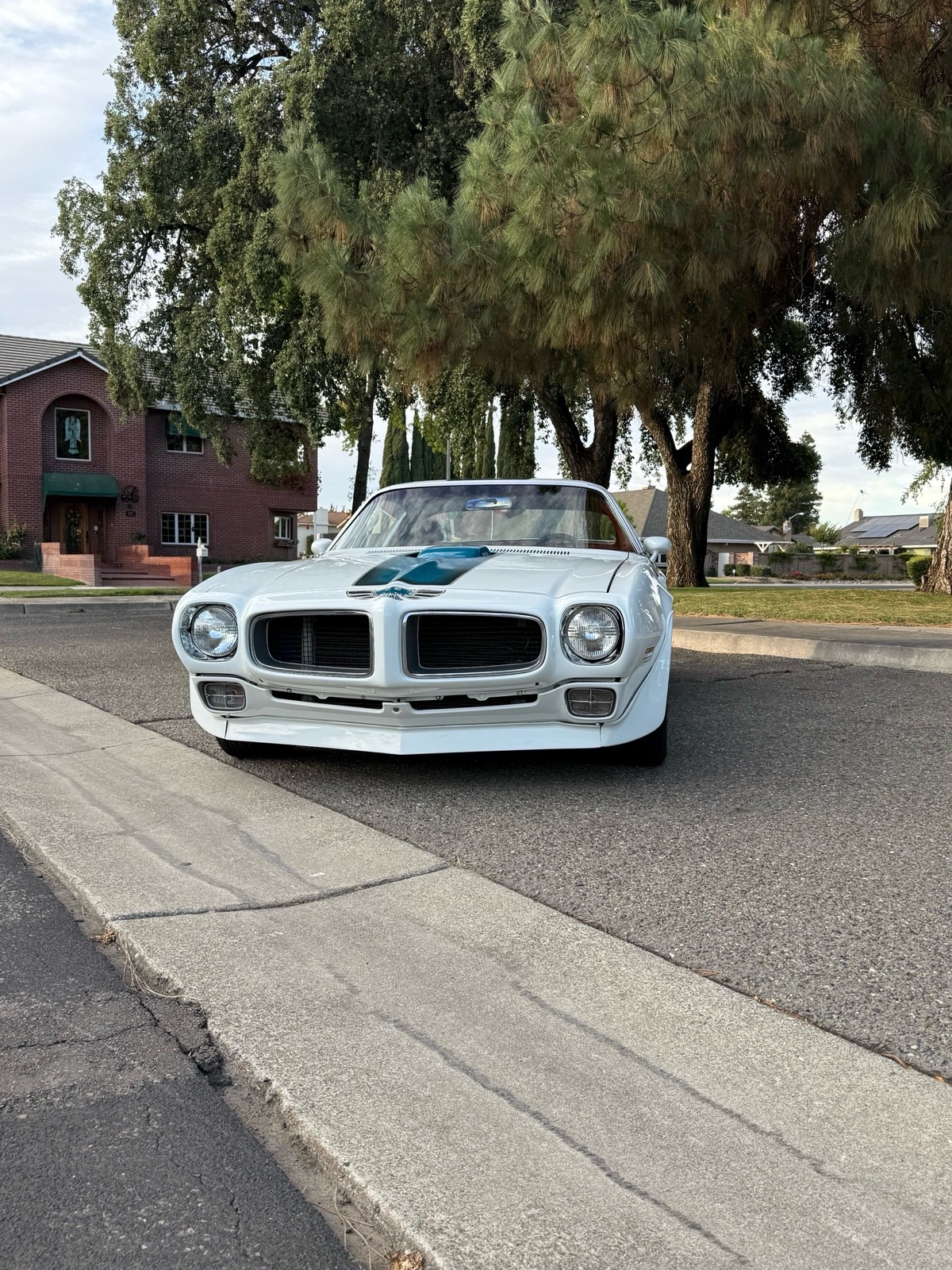 Pontiac-Firebird-1970-7