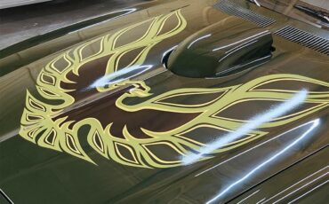 Pontiac-Firebird-1972-Brewster-Green-PC48-Black-10
