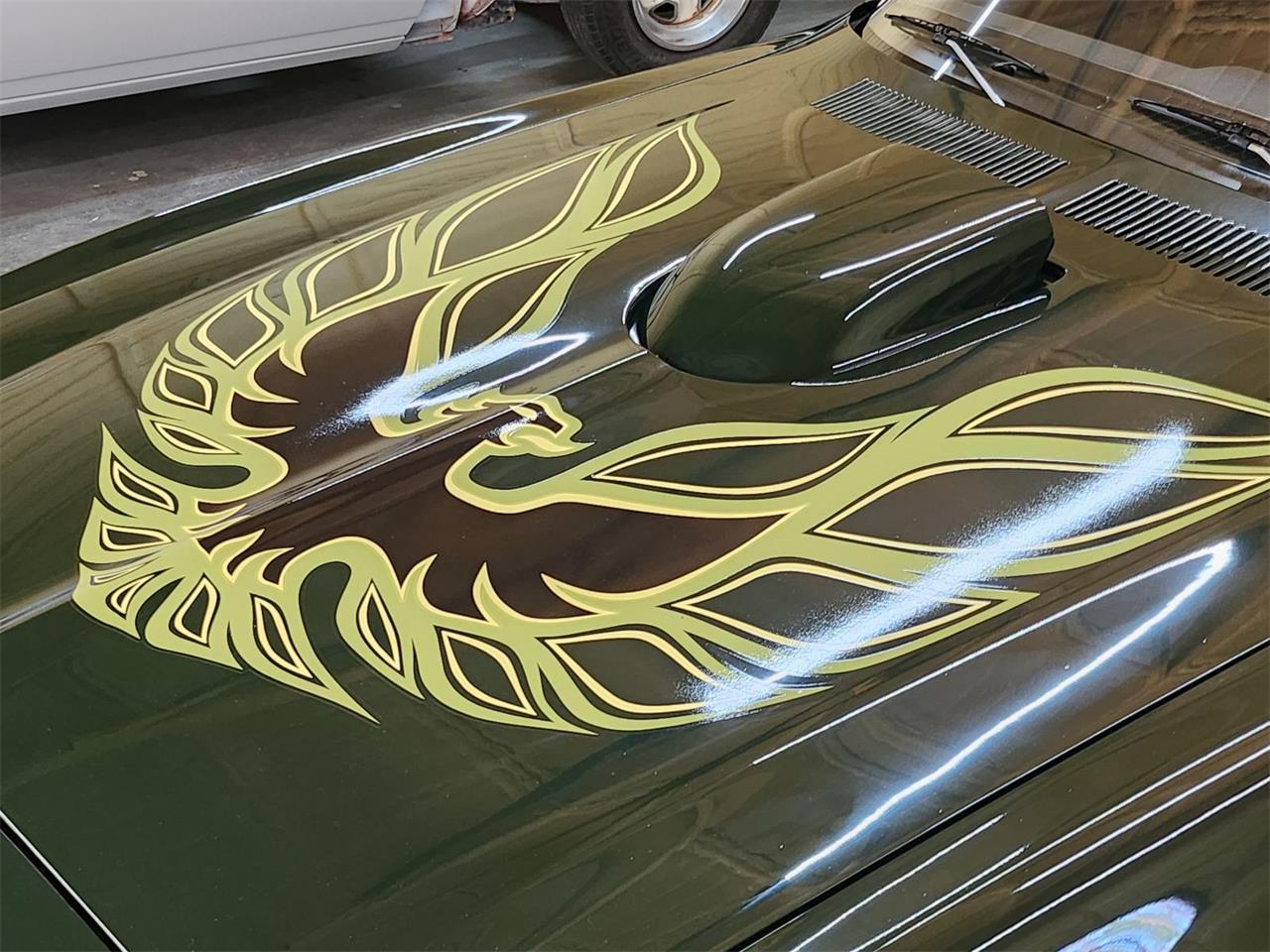 Pontiac-Firebird-1972-Brewster-Green-PC48-Black-10