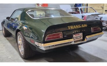 Pontiac-Firebird-1972-Brewster-Green-PC48-Black-11