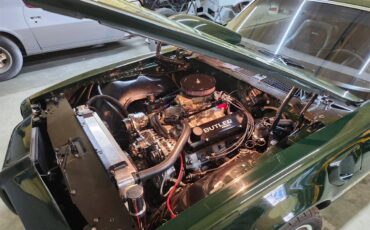 Pontiac-Firebird-1972-Brewster-Green-PC48-Black-14