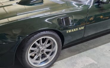 Pontiac-Firebird-1972-Brewster-Green-PC48-Black-16