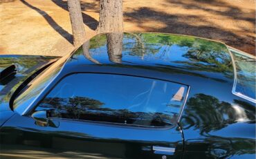 Pontiac-Firebird-1972-Brewster-Green-PC48-Black-32