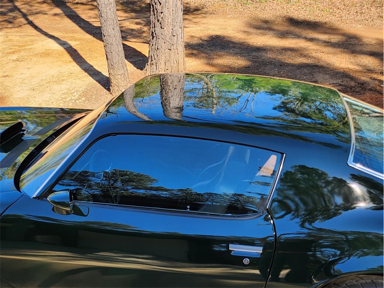 Pontiac-Firebird-1972-Brewster-Green-PC48-Black-32