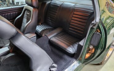 Pontiac-Firebird-1972-Brewster-Green-PC48-Black-4
