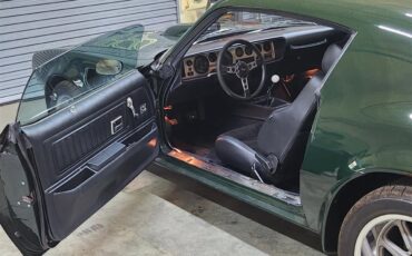 Pontiac-Firebird-1972-Brewster-Green-PC48-Black-5