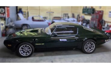 Pontiac-Firebird-1972-Brewster-Green-PC48-Black-6