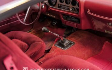 Pontiac-Firebird-1975-Cameo-White-Oxblood-48