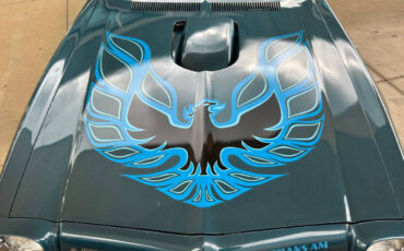 Pontiac-Firebird-1975-Convertible-12