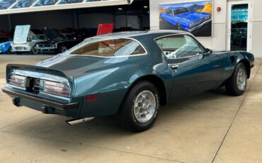 Pontiac-Firebird-1975-Convertible-4