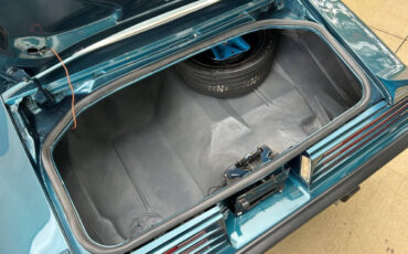 Pontiac-Firebird-1975-Convertible-8