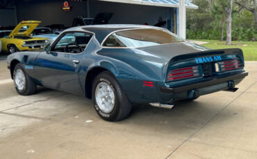 Pontiac-Firebird-1975-Convertible-9