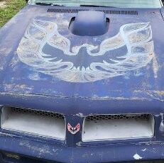Pontiac-Firebird-1976-2