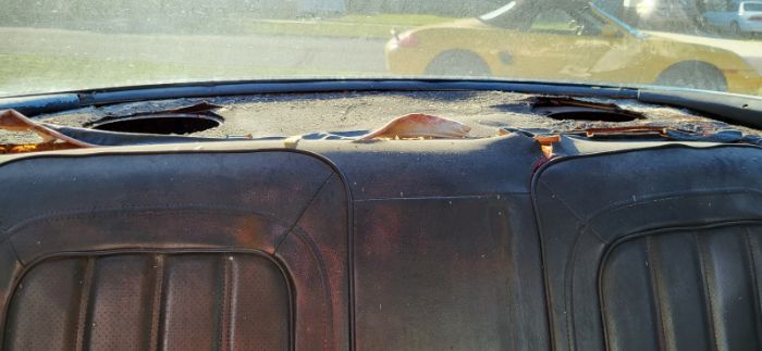 Pontiac-Firebird-1976-9