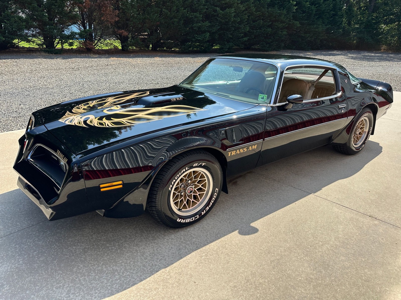 Pontiac-Firebird-1977-Coupe-14