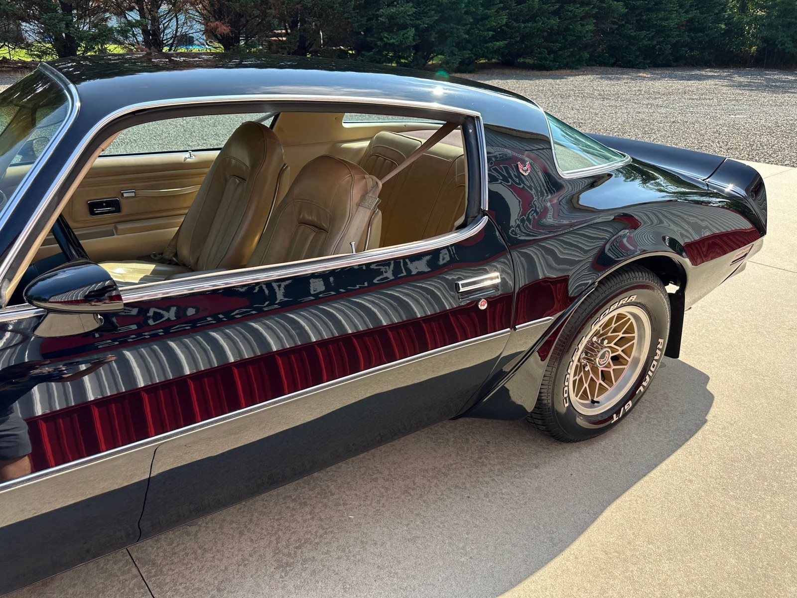 Pontiac-Firebird-1977-Coupe-17