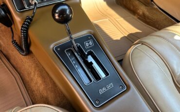 Pontiac-Firebird-1977-Coupe-18