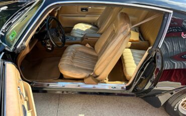 Pontiac-Firebird-1977-Coupe-23
