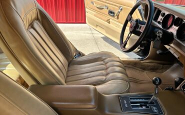 Pontiac-Firebird-1977-Coupe-32