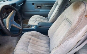 Pontiac-Firebird-1977-Sky-Blue-1