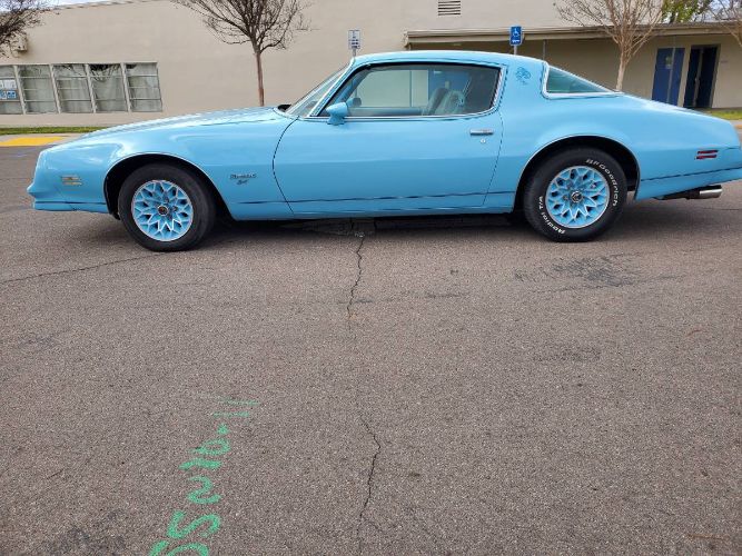 Pontiac-Firebird-1977-Sky-Blue-17