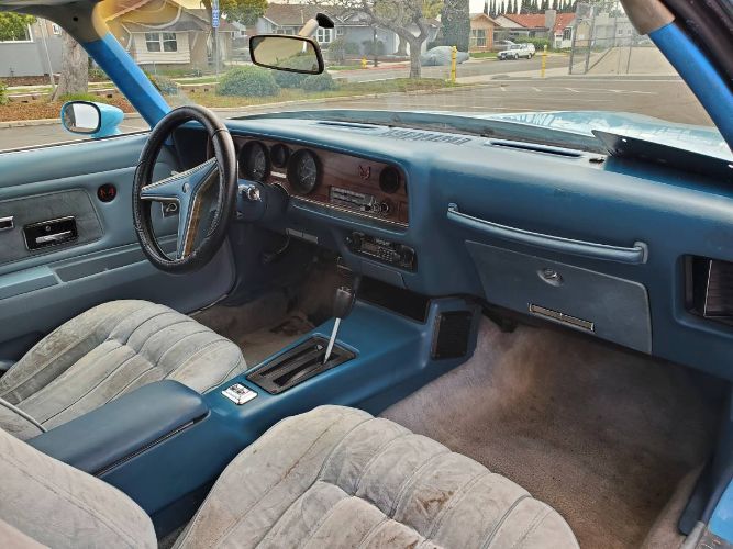 Pontiac-Firebird-1977-Sky-Blue-18