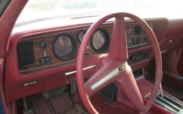 Pontiac-Firebird-1978-1