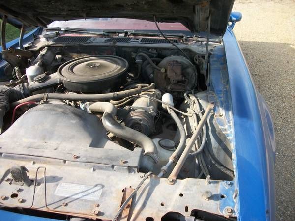 Pontiac-Firebird-1978-3