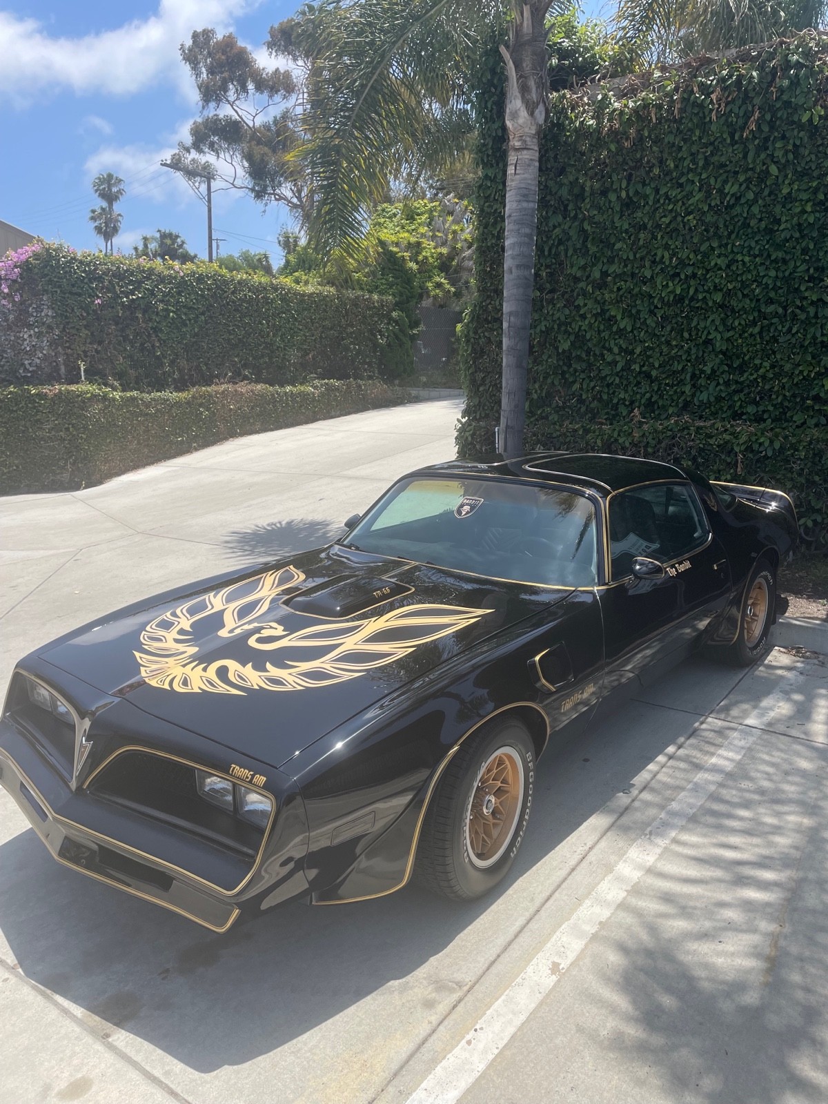 Pontiac-Firebird-1978-Coupe-1