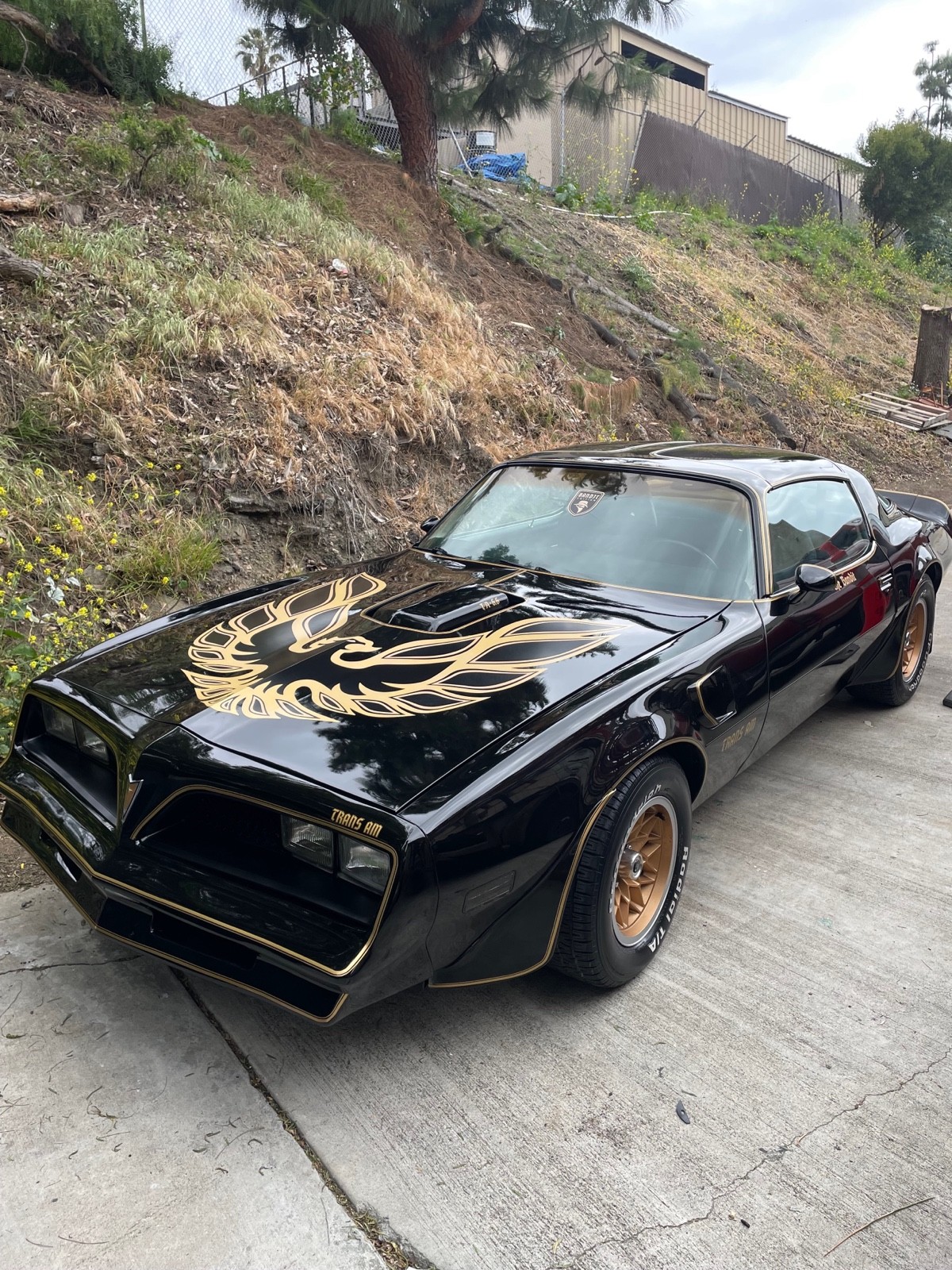 Pontiac-Firebird-1978-Coupe-3