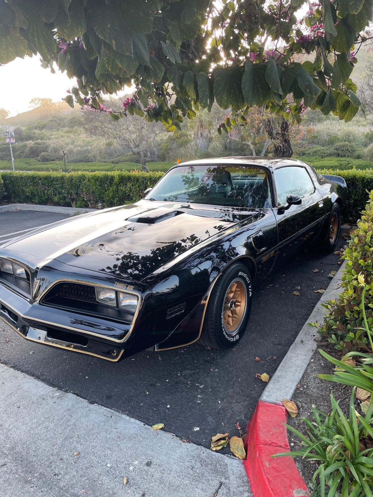 Pontiac-Firebird-1978-Coupe-4