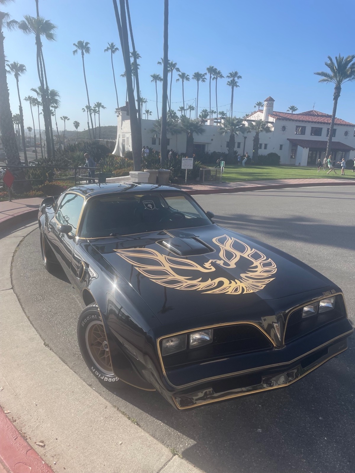 Pontiac-Firebird-1978-Coupe