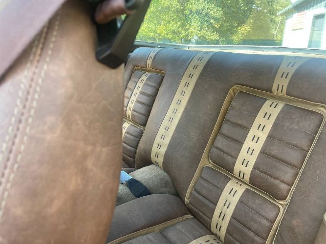 Pontiac-Firebird-1978-Yellow-Custom-Leather-1
