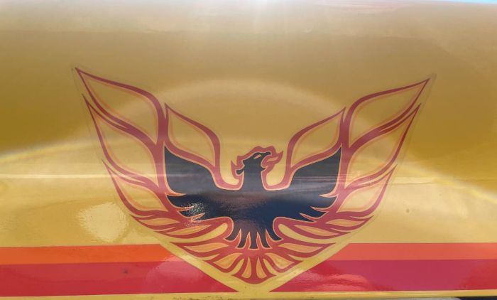 Pontiac-Firebird-1978-Yellow-Custom-Leather-10
