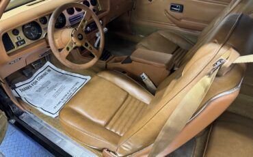 Pontiac-Firebird-1979-14