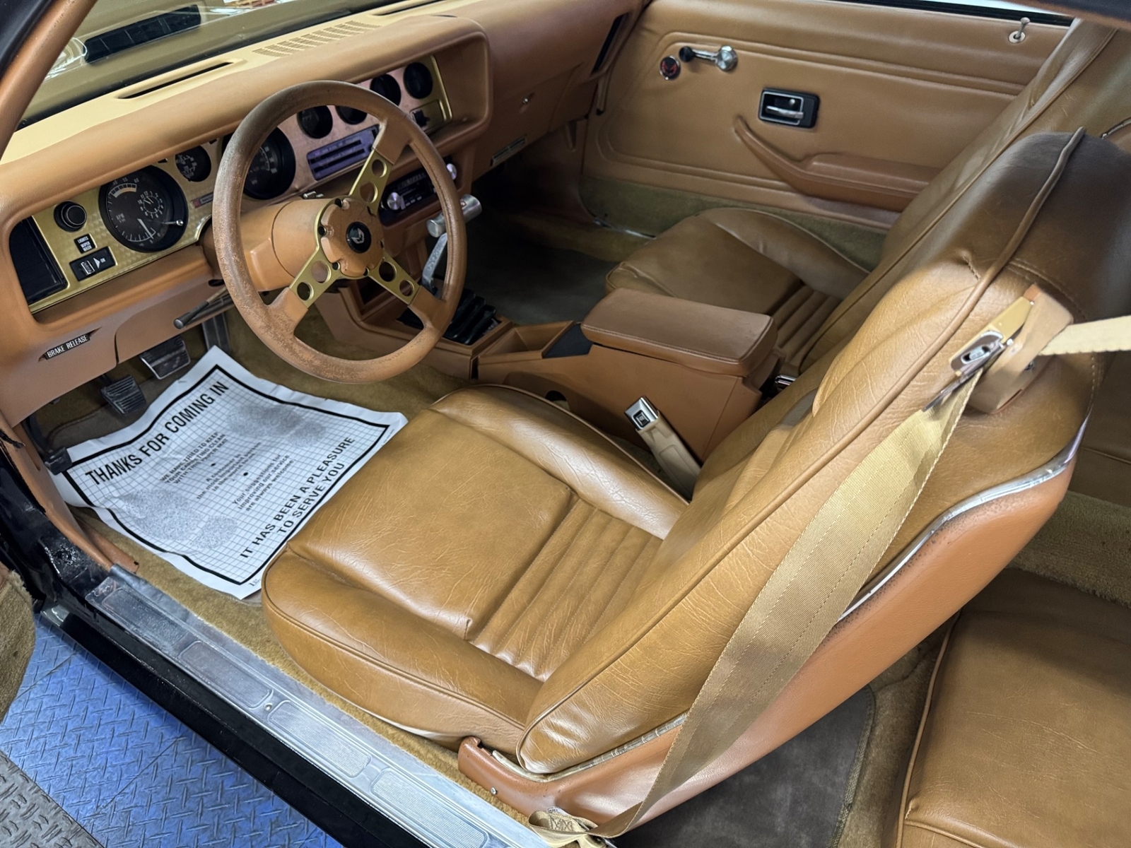 Pontiac-Firebird-1979-14