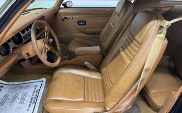 Pontiac-Firebird-1979-29