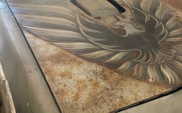 Pontiac-Firebird-1979-3