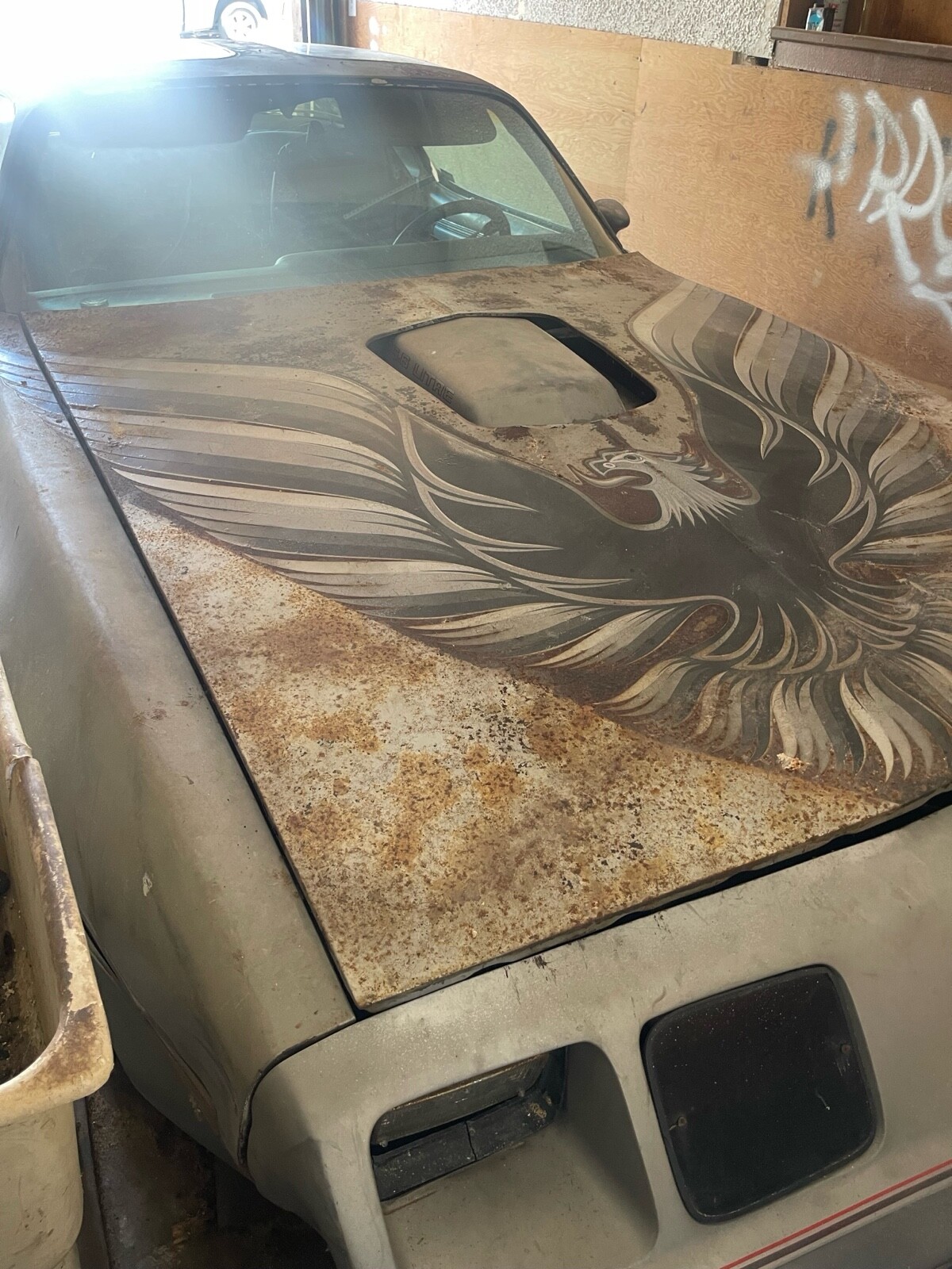 Pontiac-Firebird-1979-3